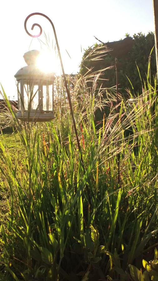 La Pause - Val De Loire Bed and Breakfast Chabris Buitenkant foto